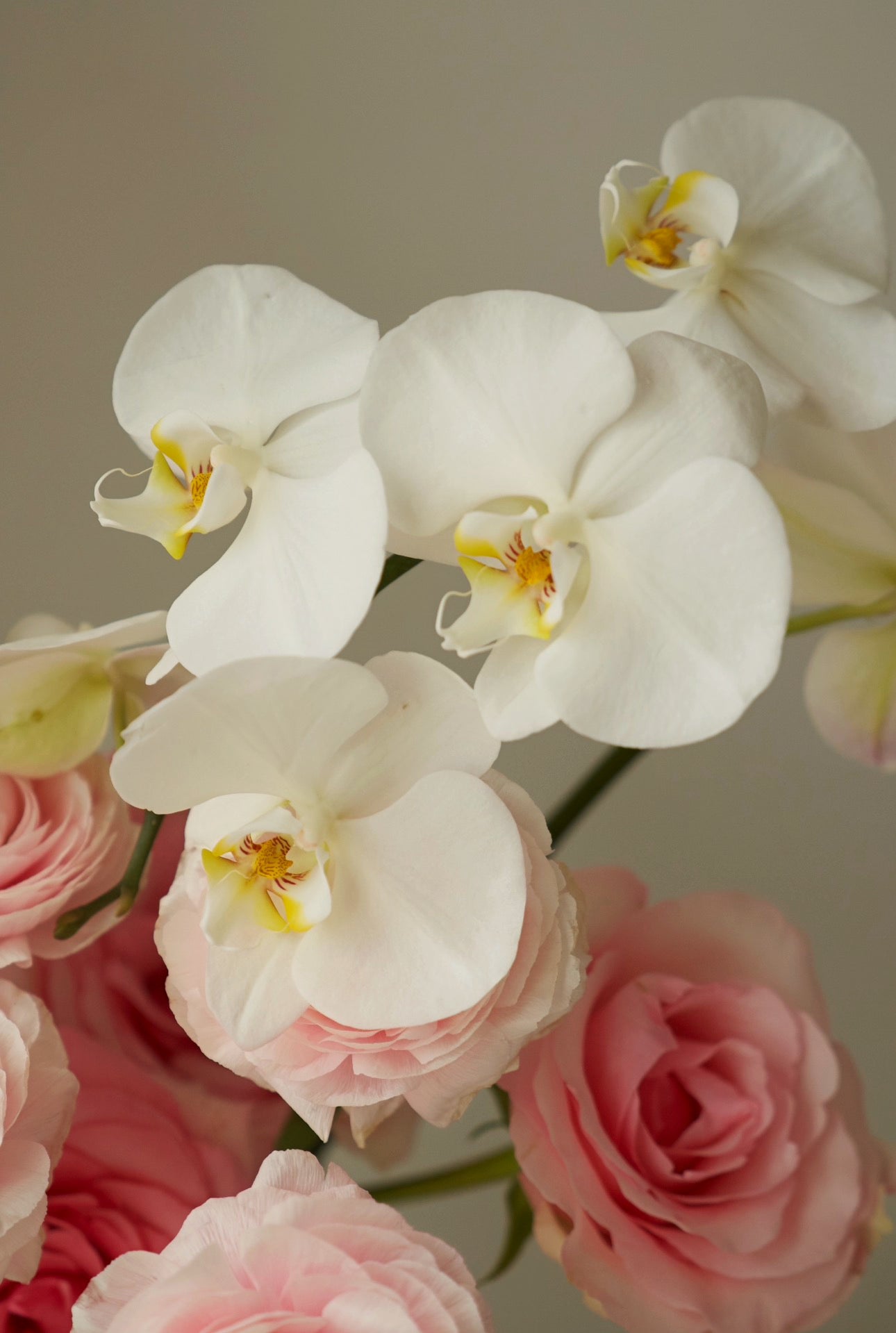 Powder Pink Bouquet
