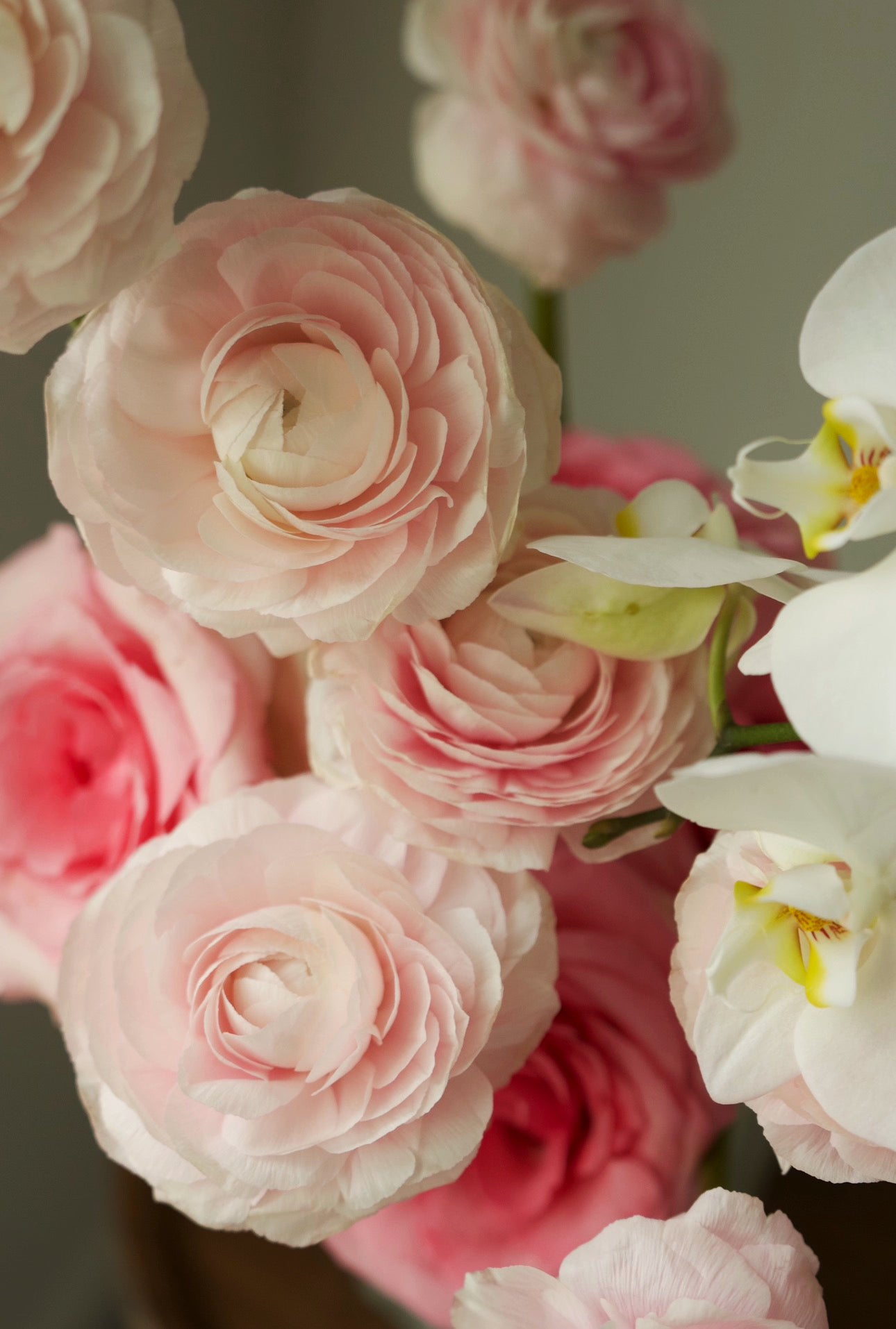 Powder Pink Bouquet